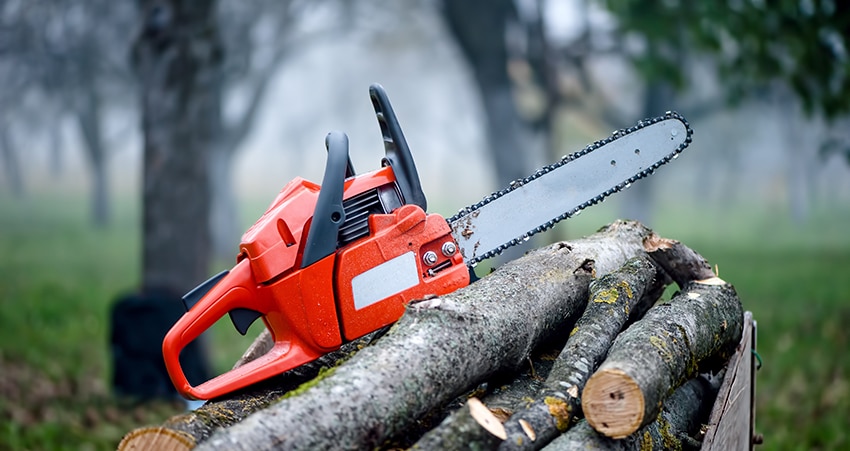Image result for tree removal services